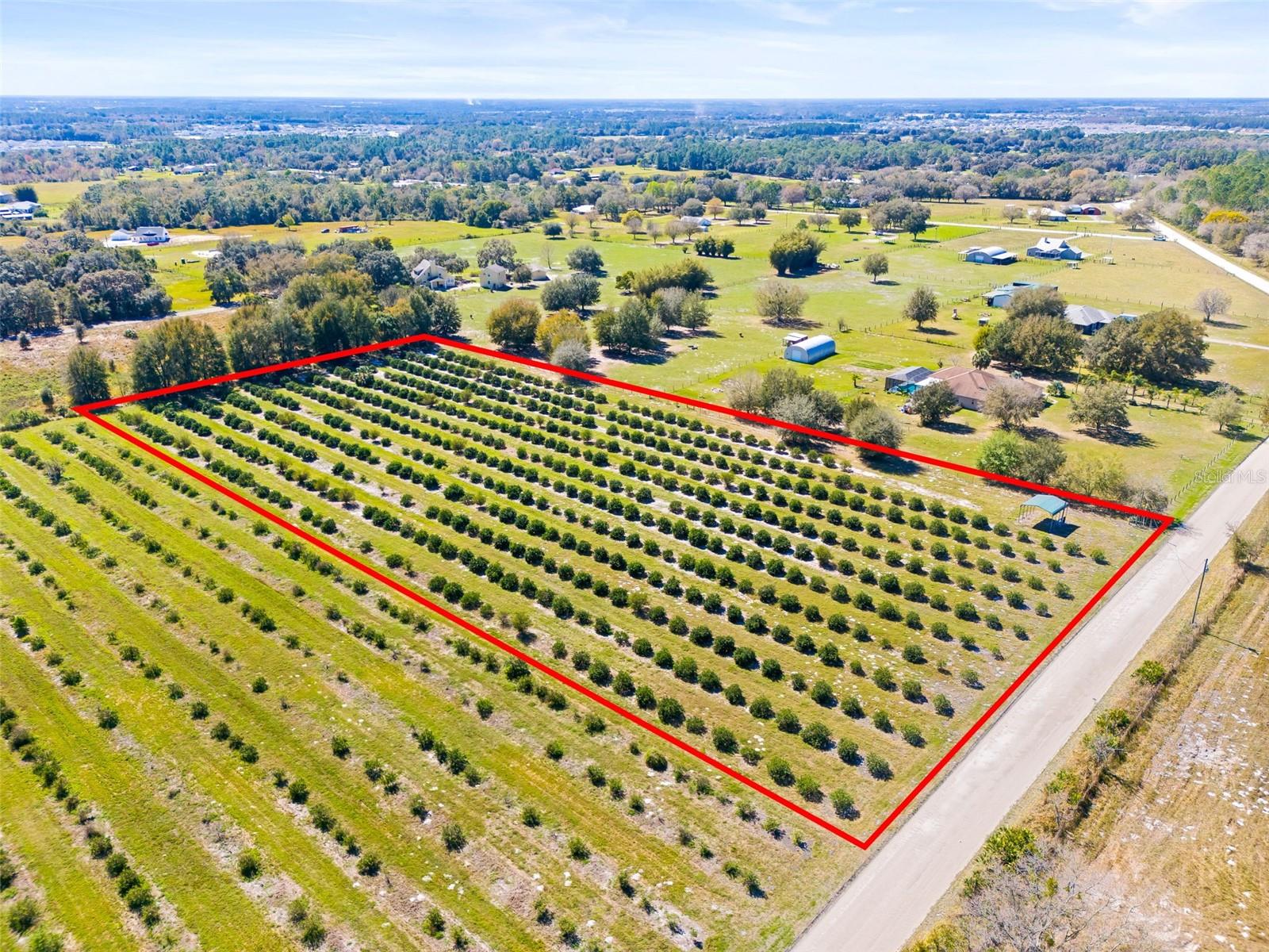 35538 FAIRVIEW HEIGHTS RD, ZEPHYRHILLS, FL, 33541