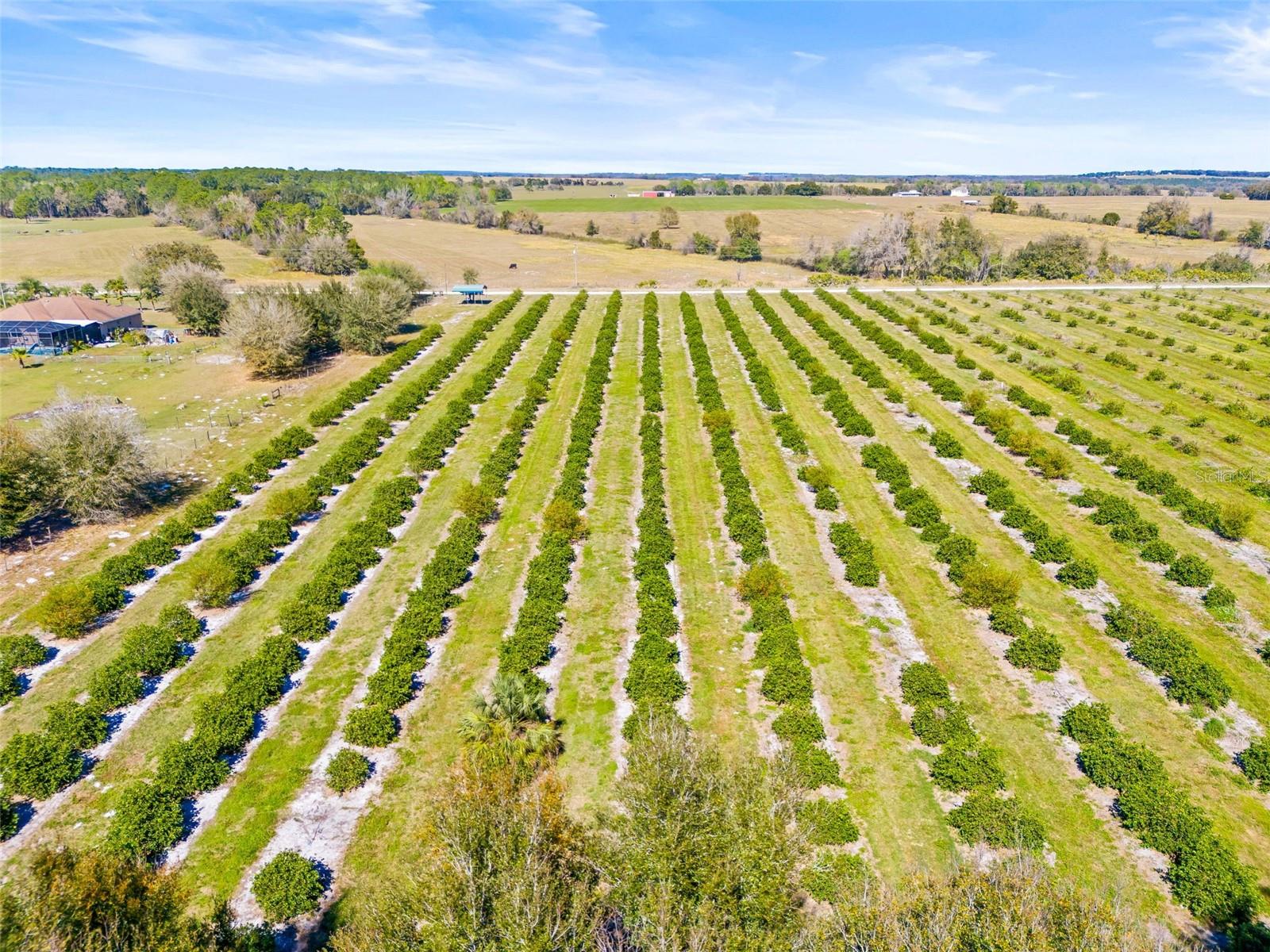 35538 FAIRVIEW HEIGHTS RD, ZEPHYRHILLS, FL, 33541