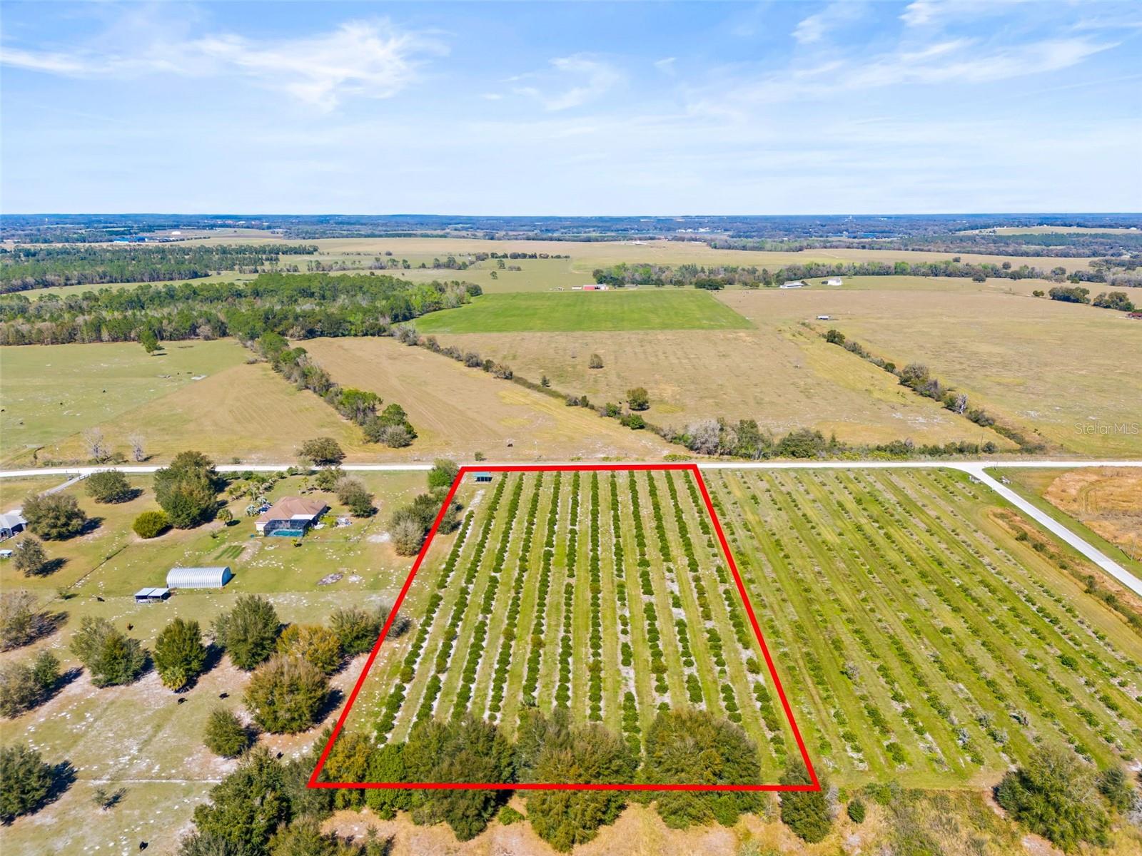 35538 FAIRVIEW HEIGHTS RD, ZEPHYRHILLS, FL, 33541