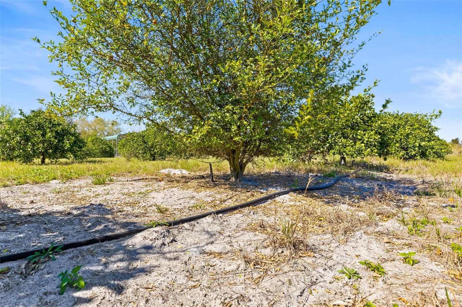 35538 FAIRVIEW HEIGHTS RD, ZEPHYRHILLS, FL, 33541