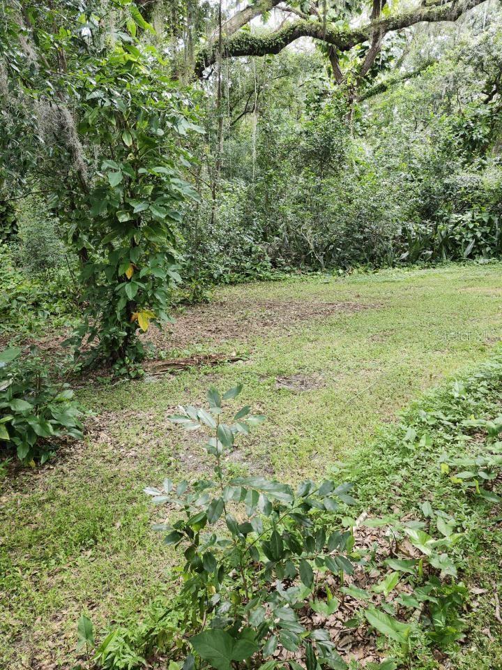 4450 OLD BERKLEY RD, AUBURNDALE, FL, 33823