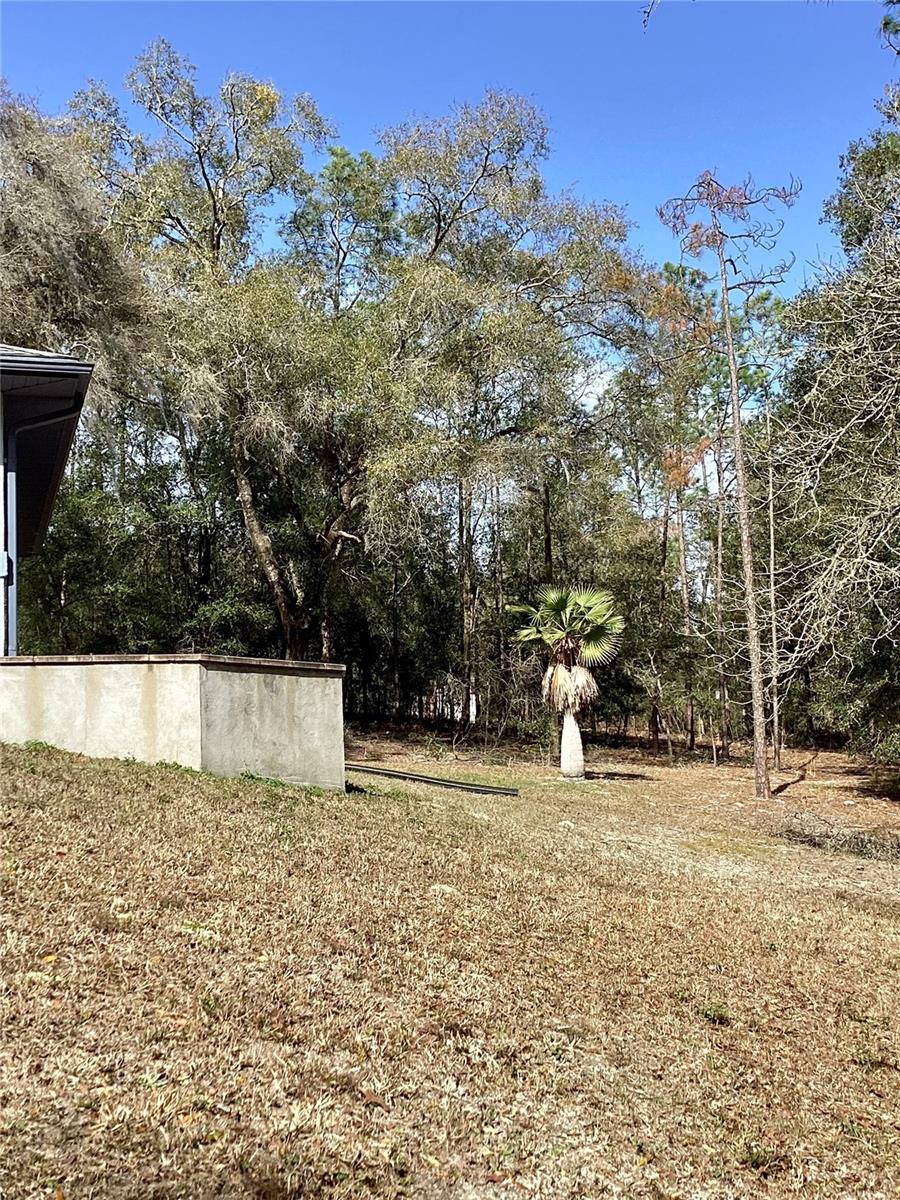 9671 SW 207TH CIR, DUNNELLON, FL, 34431