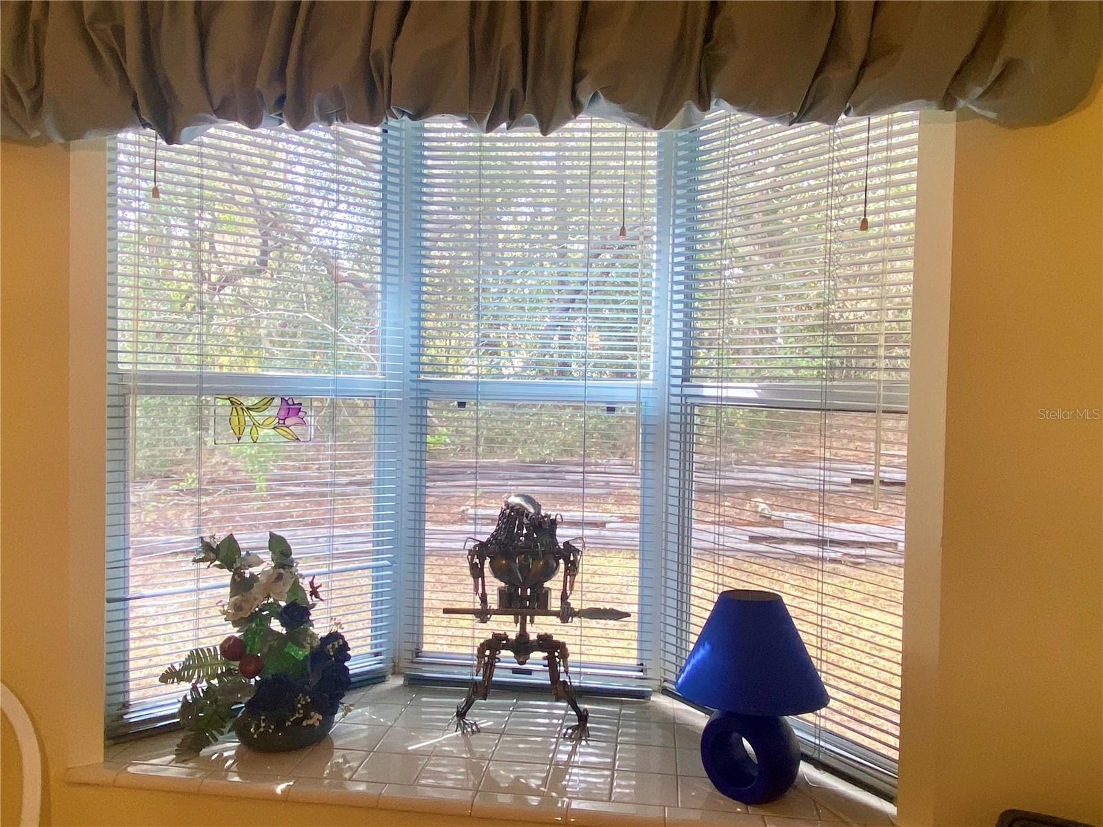 9671 SW 207TH CIR, DUNNELLON, FL, 34431