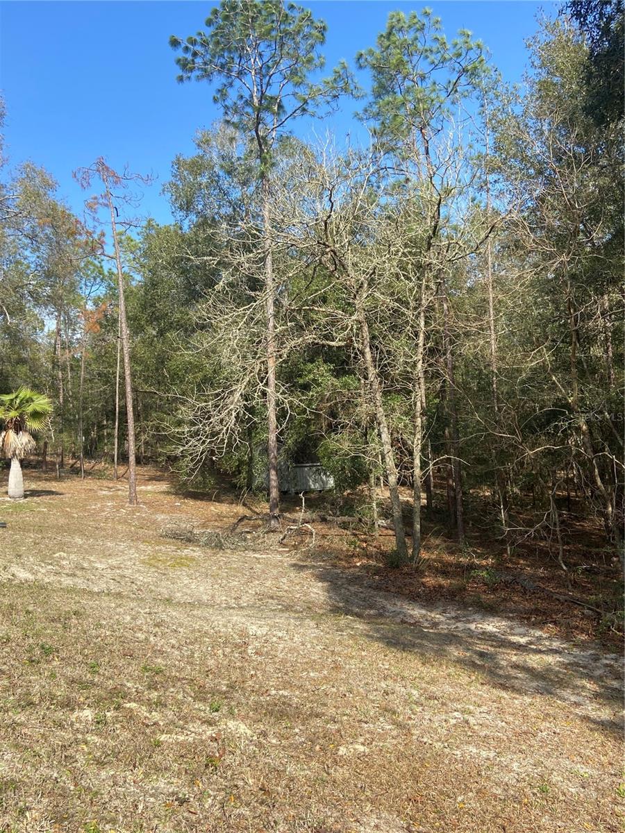 9671 SW 207TH CIR, DUNNELLON, FL, 34431
