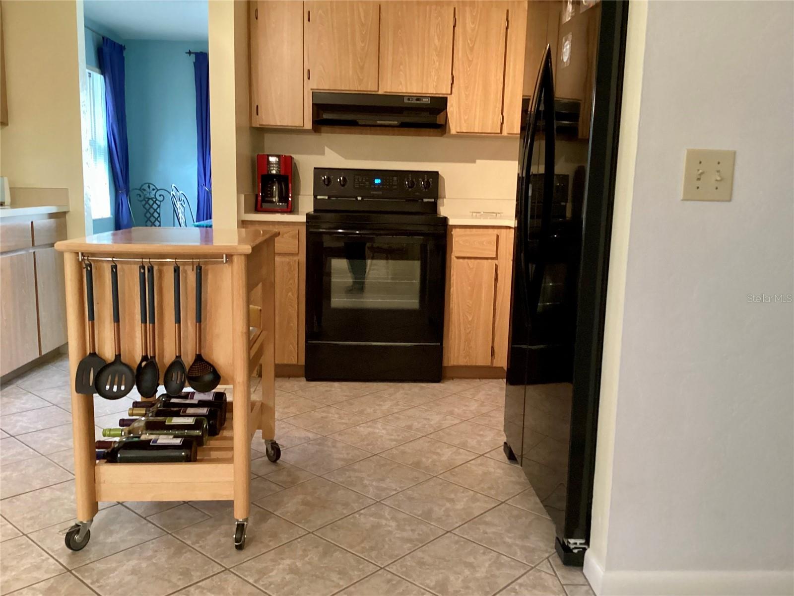 9671 SW 207TH CIR, DUNNELLON, FL, 34431