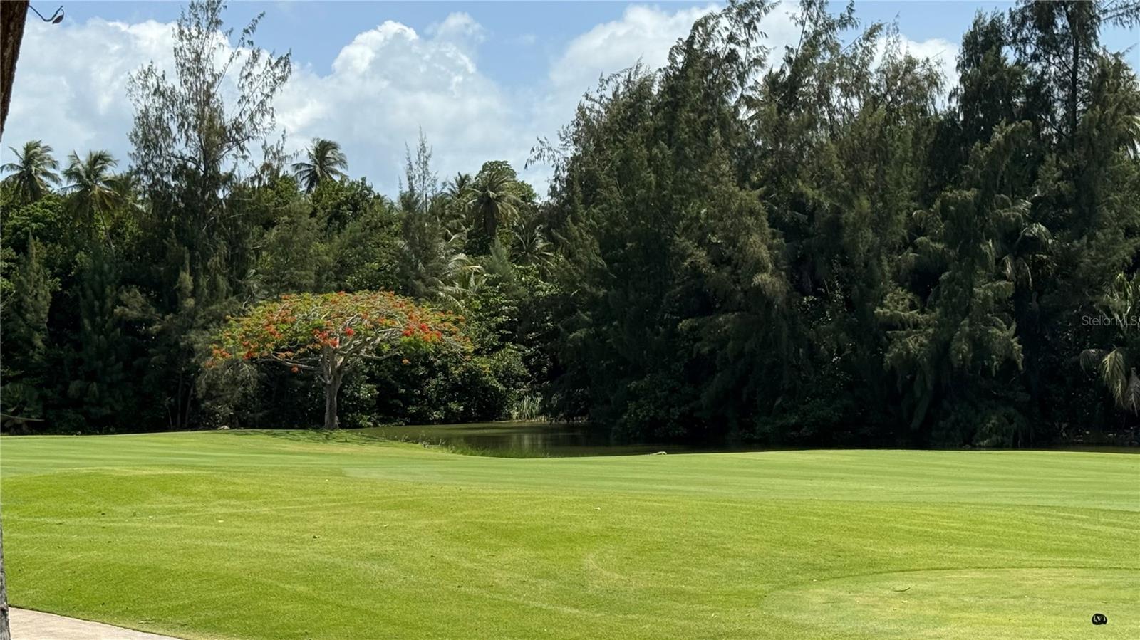 PR9104556 Property Photo