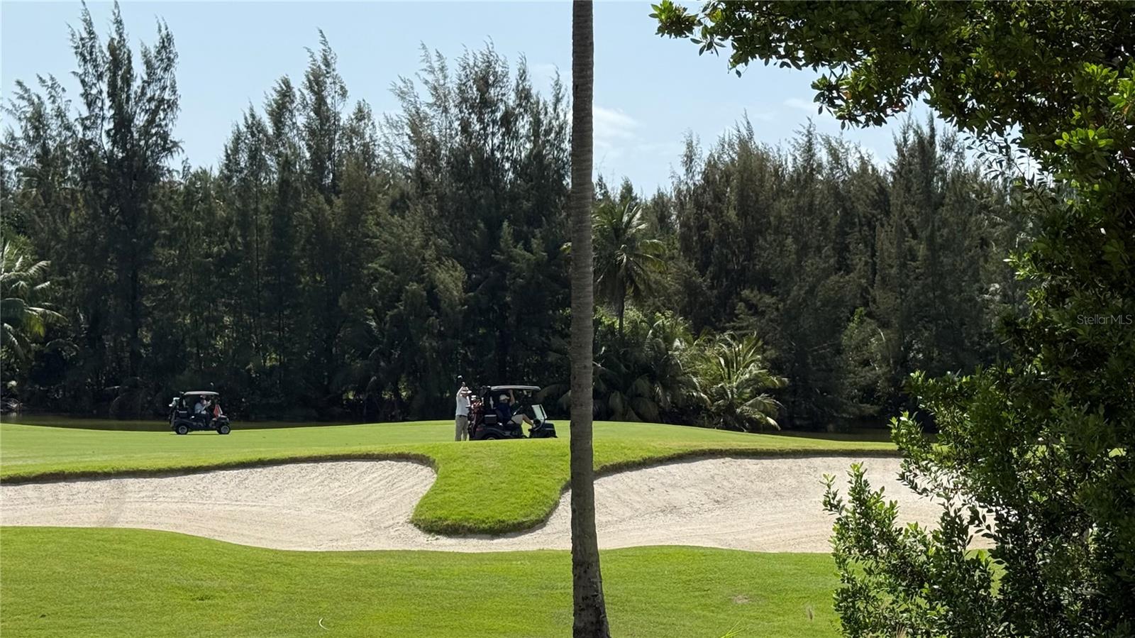 PR9104556 Property Photo