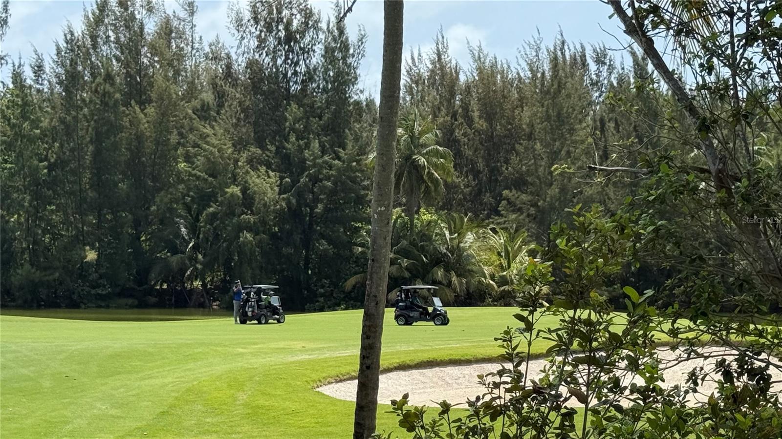 PR9104556 Property Photo