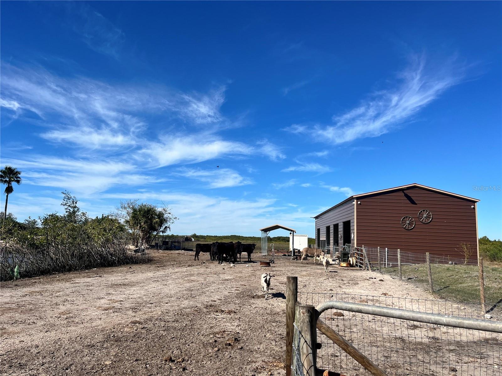 5012 TROYDALE RD, TAMPA, FL, 33615