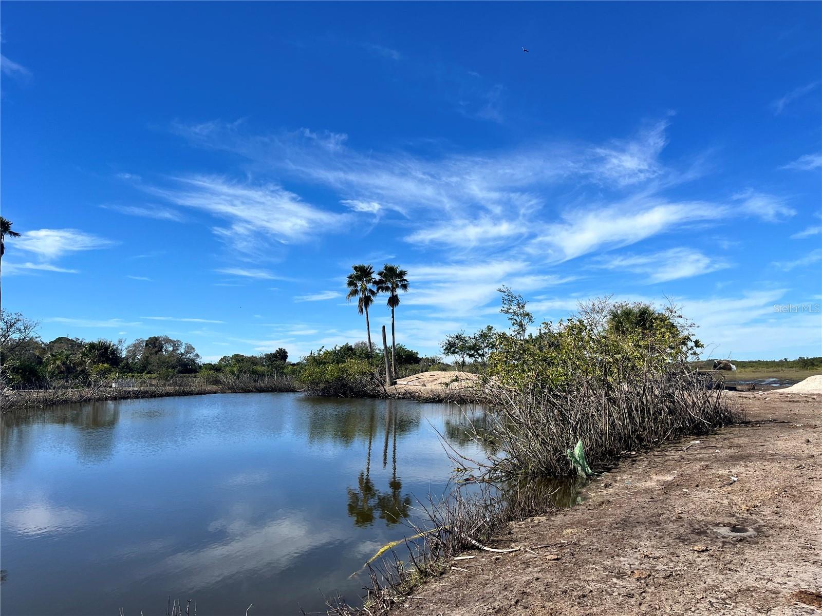 5012 TROYDALE RD, TAMPA, FL, 33615