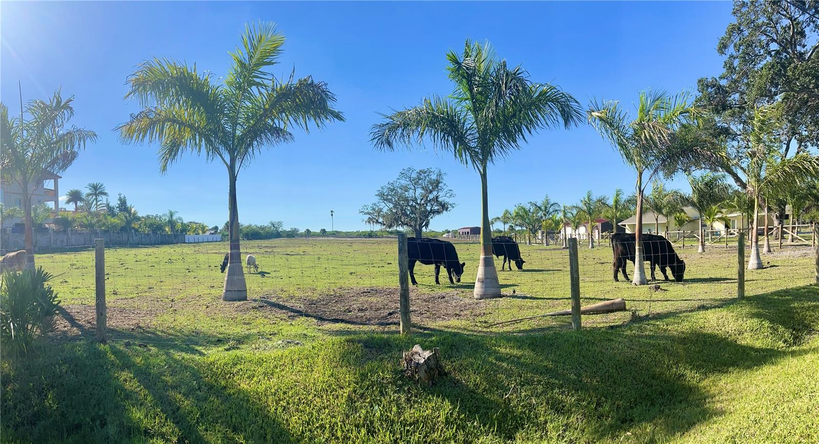 5012 TROYDALE RD, TAMPA, FL, 33615