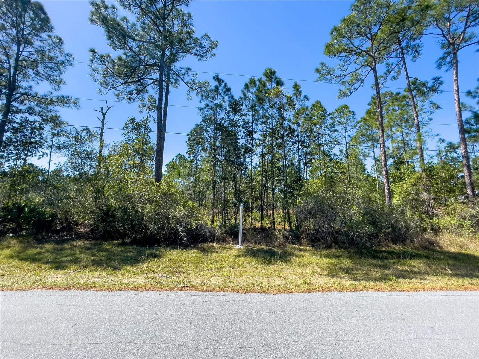 CASSIDY DR, SAINT CLOUD, FL, 34771