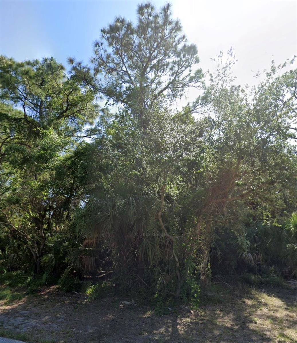 450 CAMROSE ST, PORT CHARLOTTE, FL, 33954