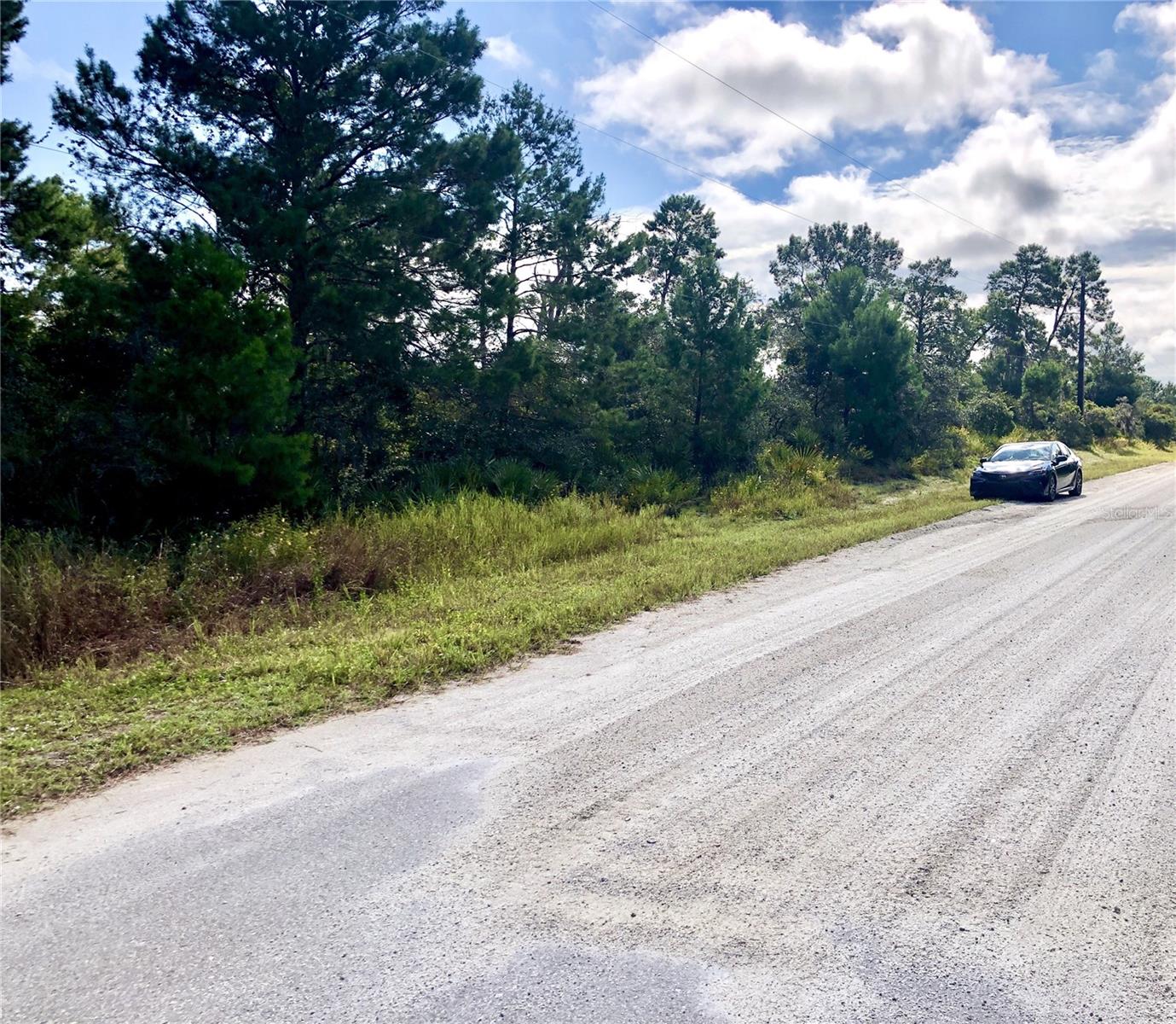 1304 OLEANDER ST, LAKE PLACID, FL, 33852