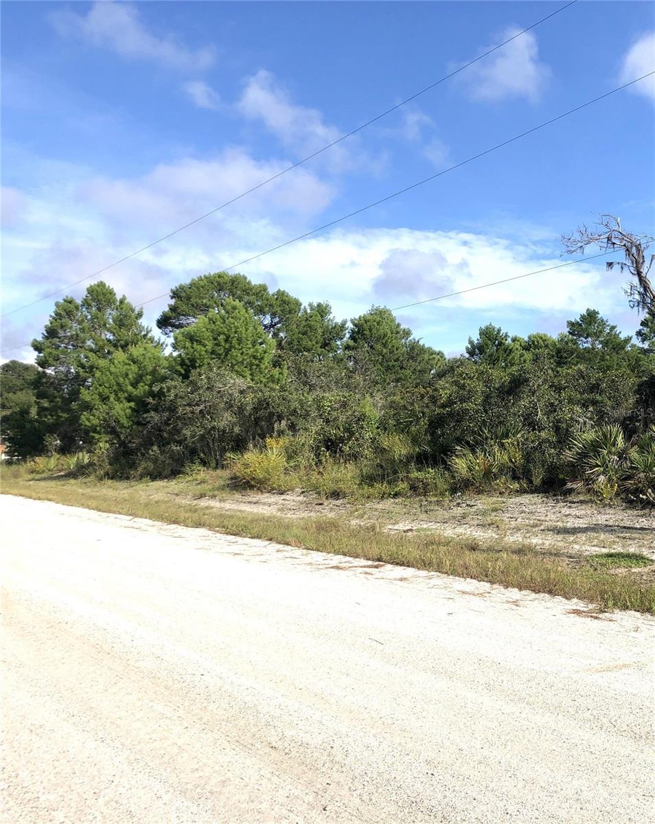 1304 OLEANDER ST, LAKE PLACID, FL, 33852