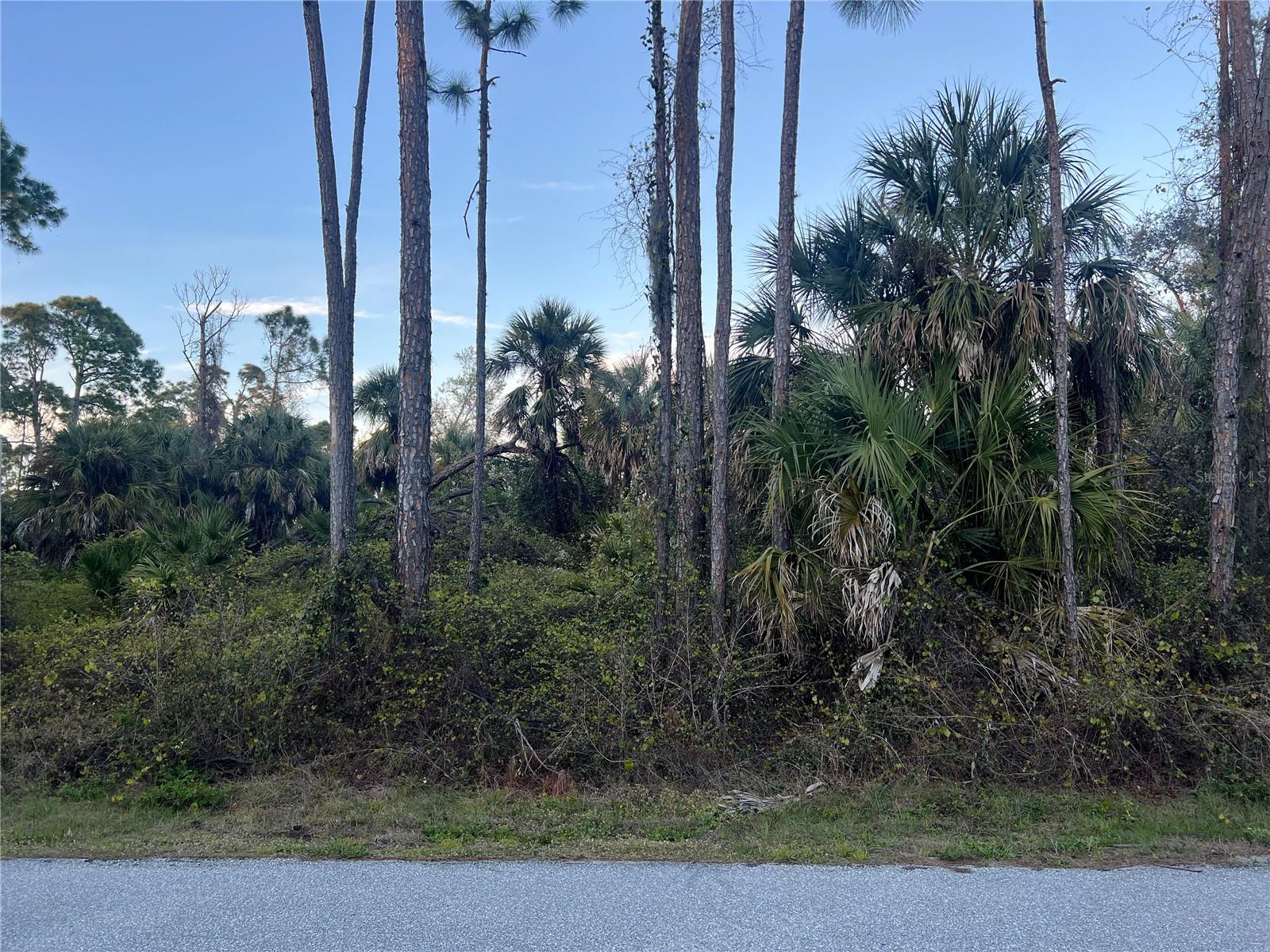RUFUS RD, NORTH PORT, FL, 34288