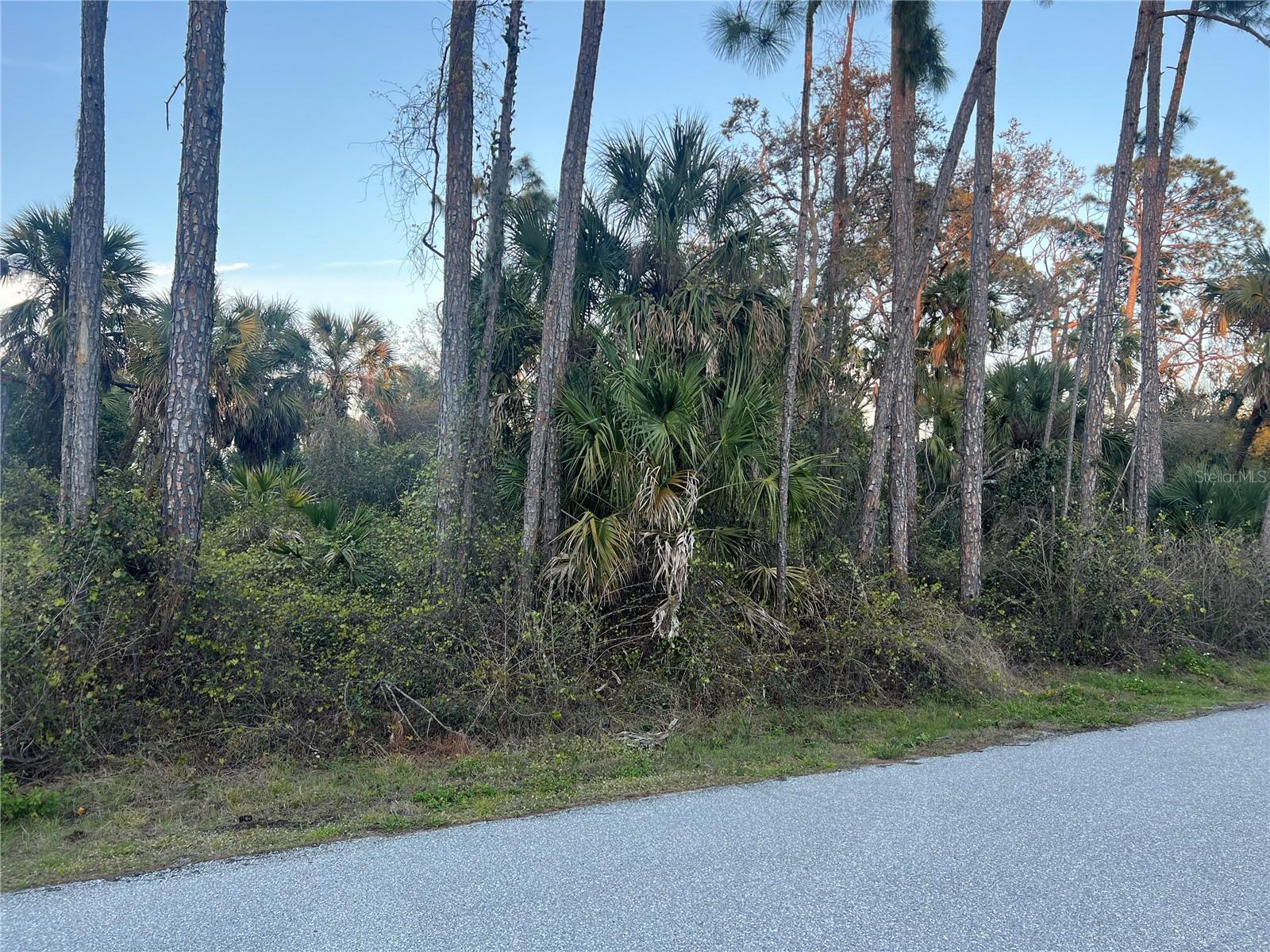 RUFUS RD, NORTH PORT, FL, 34288