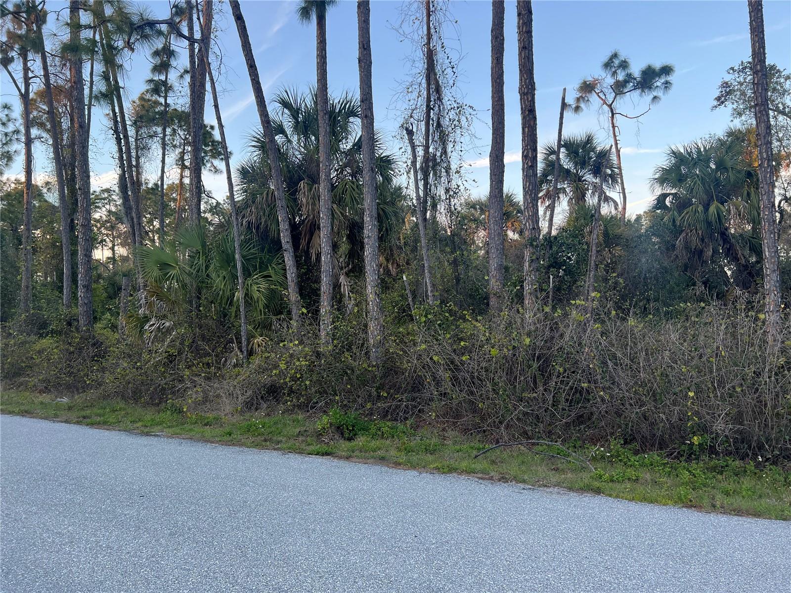 RUFUS RD, NORTH PORT, FL, 34288