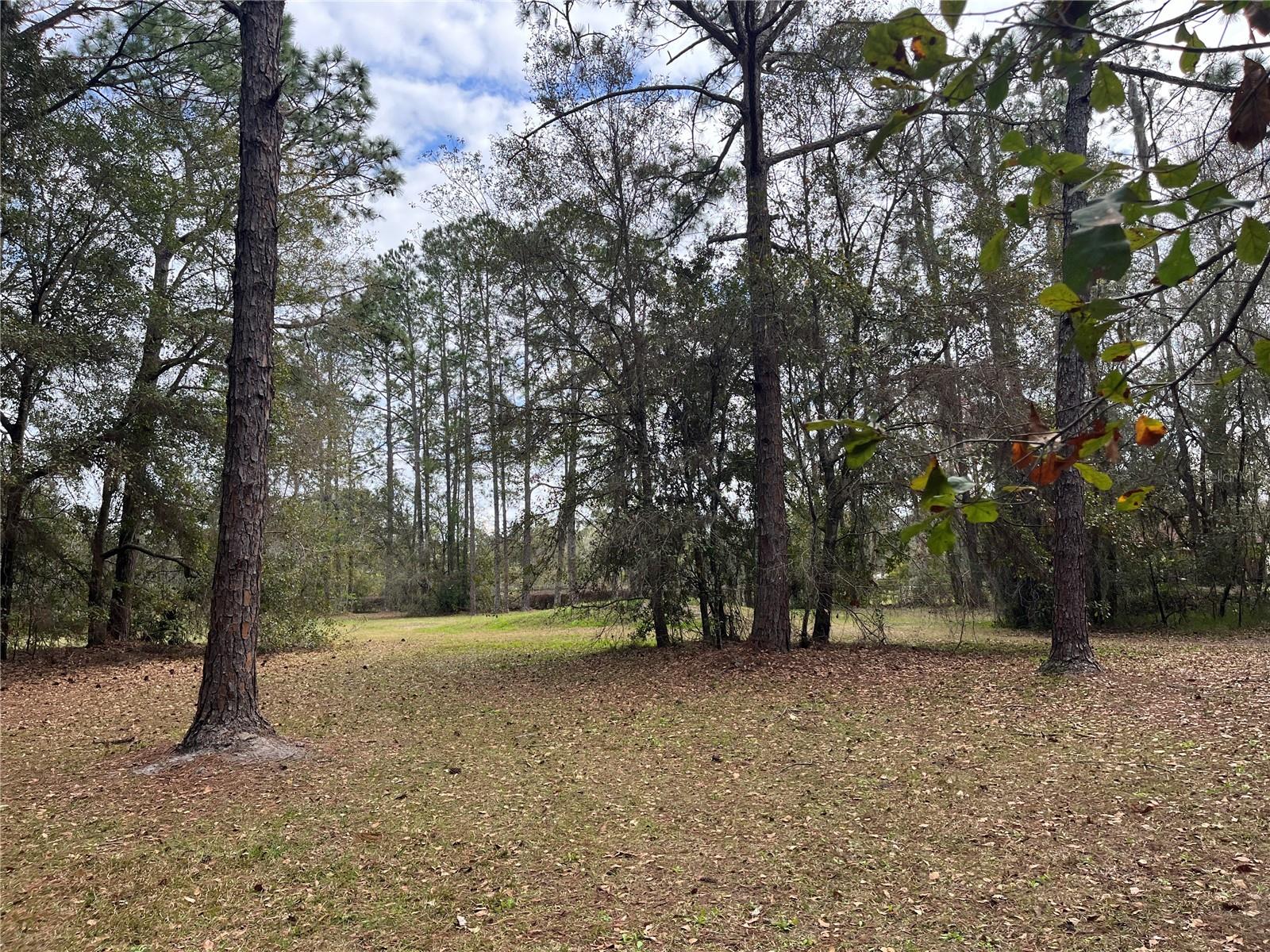 8615 KENTON RD, WESLEY CHAPEL, FL, 33545