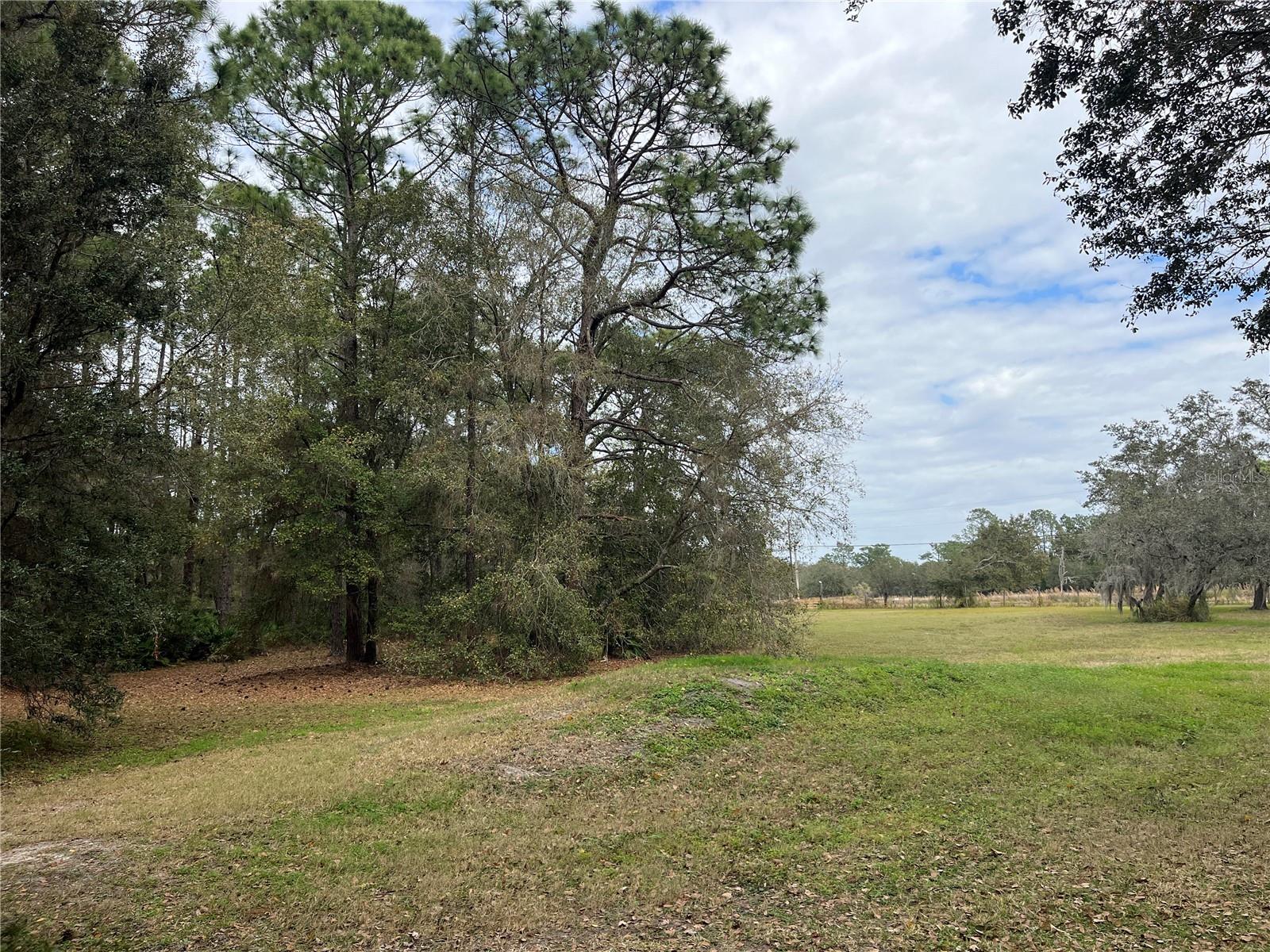 8615 KENTON RD, WESLEY CHAPEL, FL, 33545