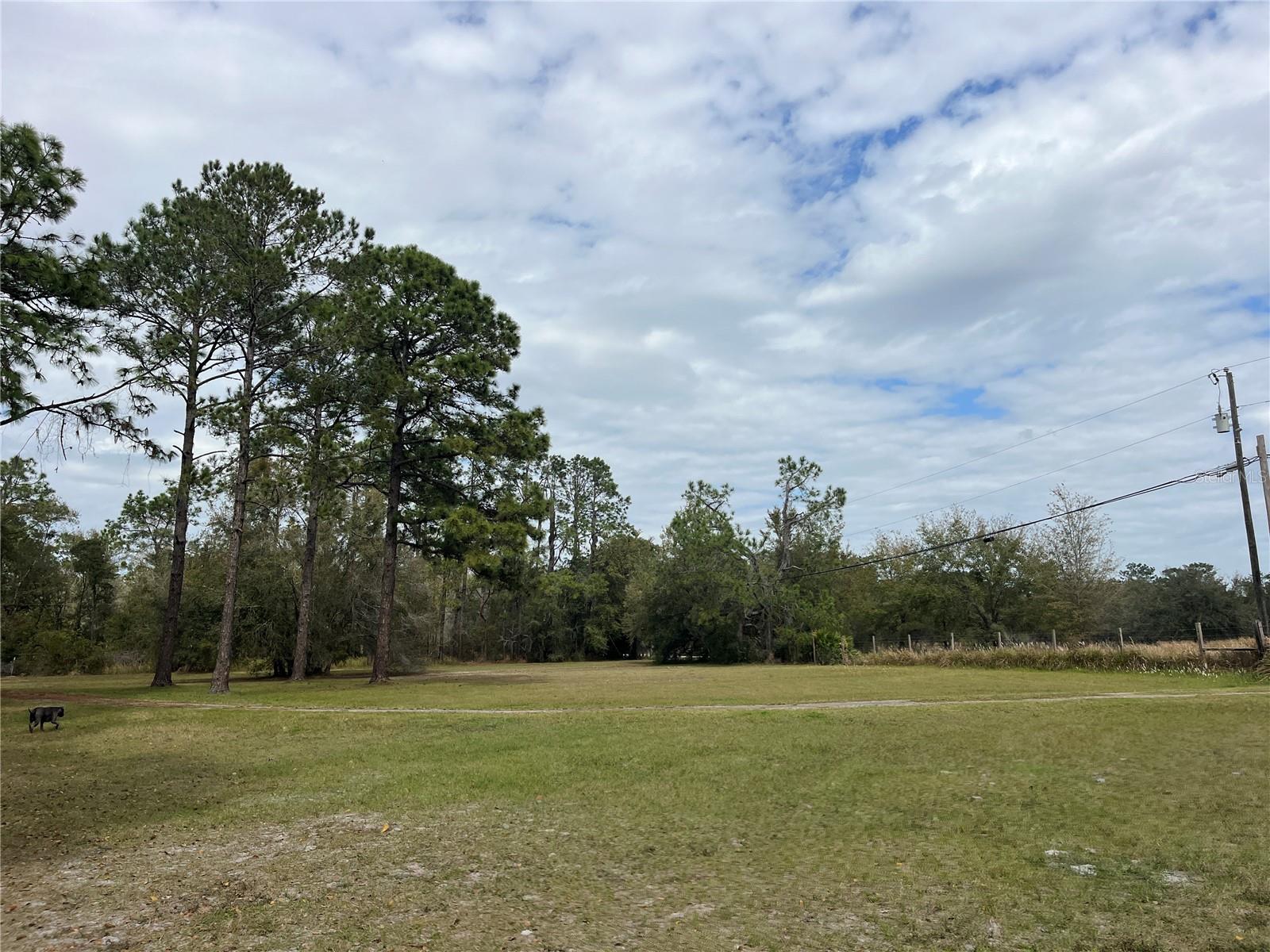 8615 KENTON RD, WESLEY CHAPEL, FL, 33545