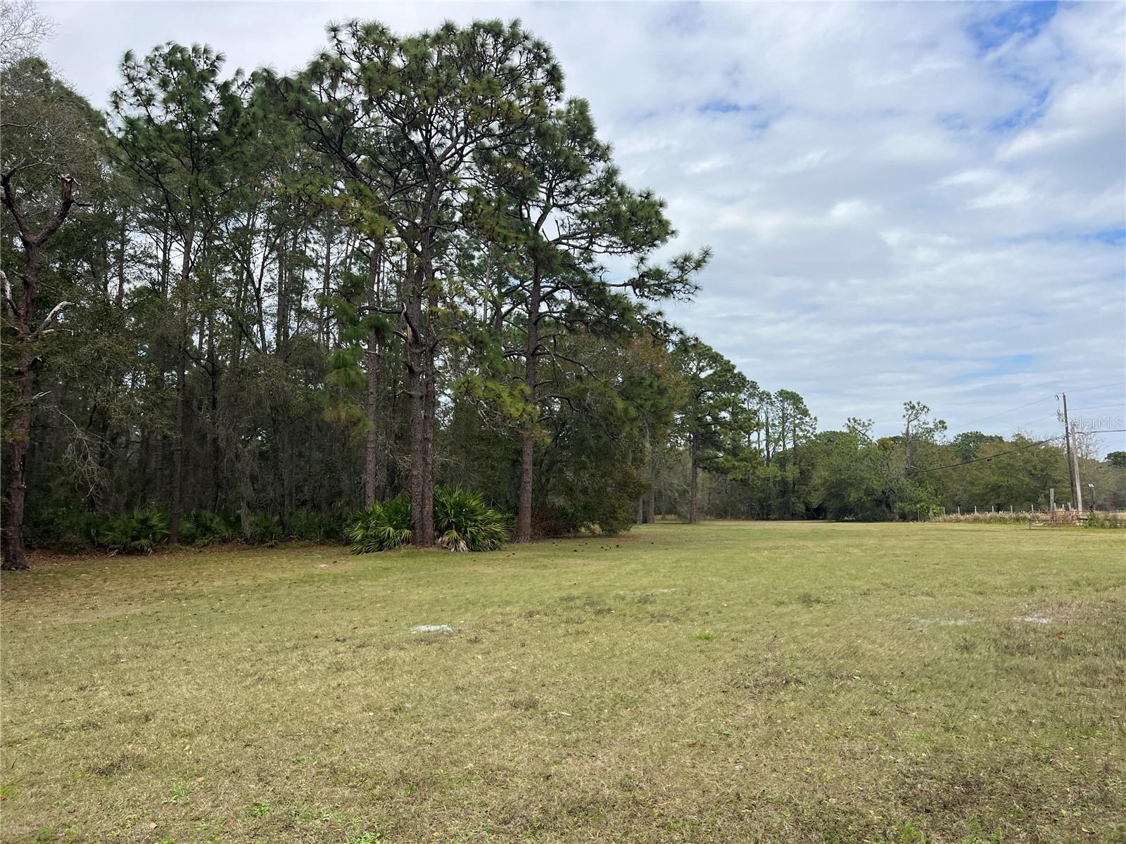 8615 KENTON RD, WESLEY CHAPEL, FL, 33545