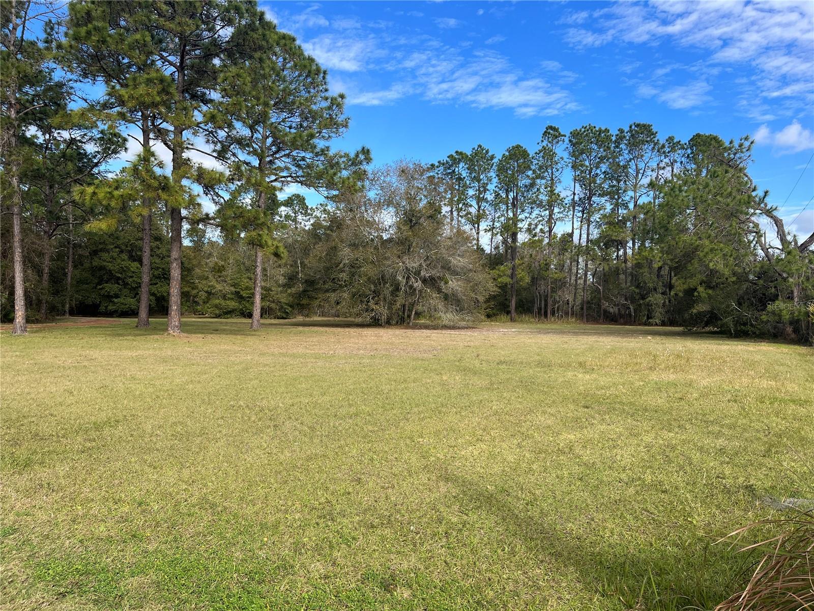 8615 KENTON RD, WESLEY CHAPEL, FL, 33545