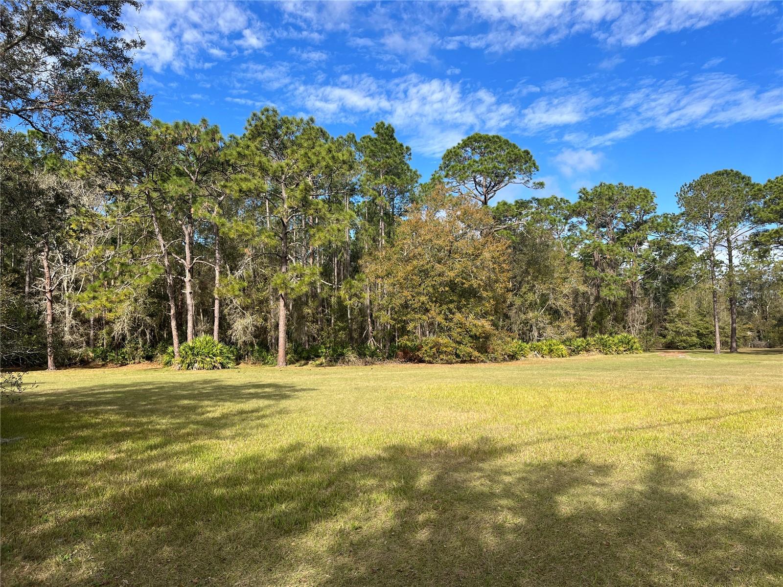 8615 KENTON RD, WESLEY CHAPEL, FL, 33545