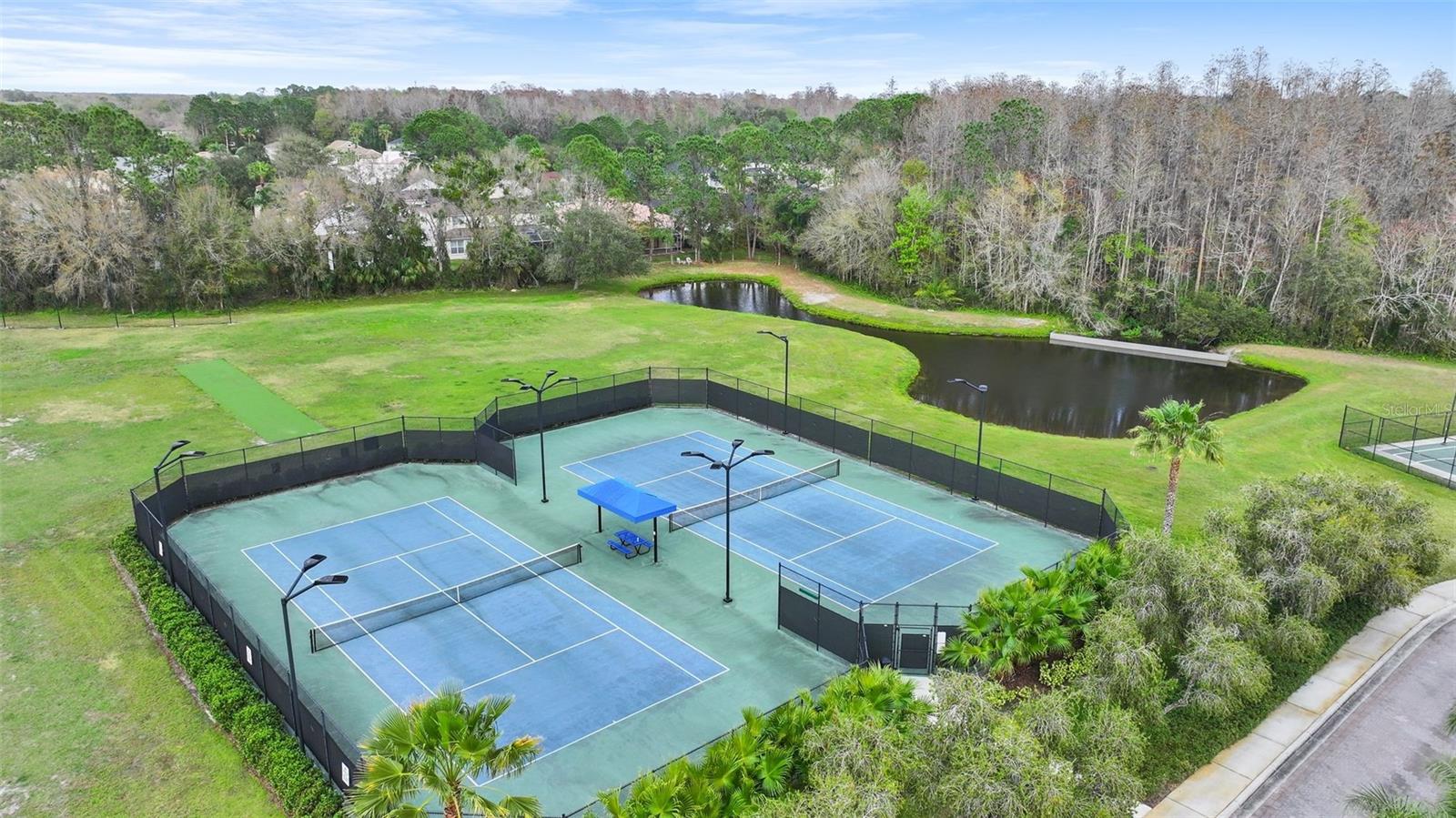 10558 CORY LAKE DR, TAMPA, FL, 33647