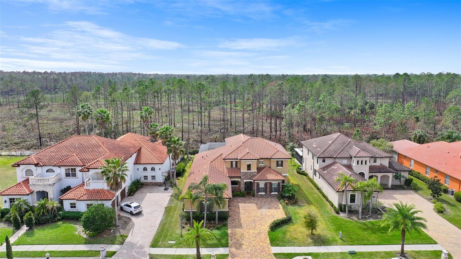 10558 CORY LAKE DR, TAMPA, FL, 33647