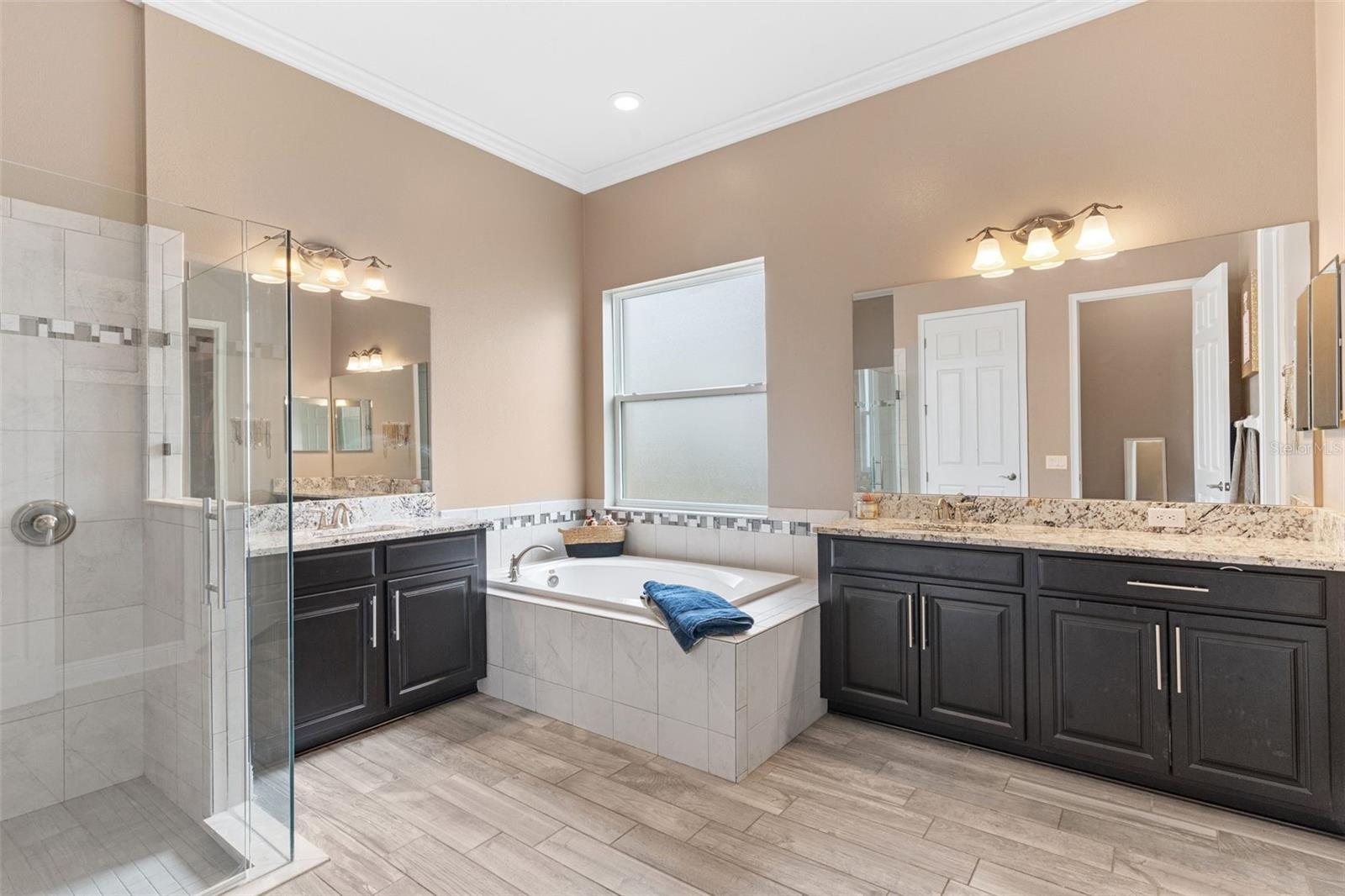 10558 CORY LAKE DR, TAMPA, FL, 33647