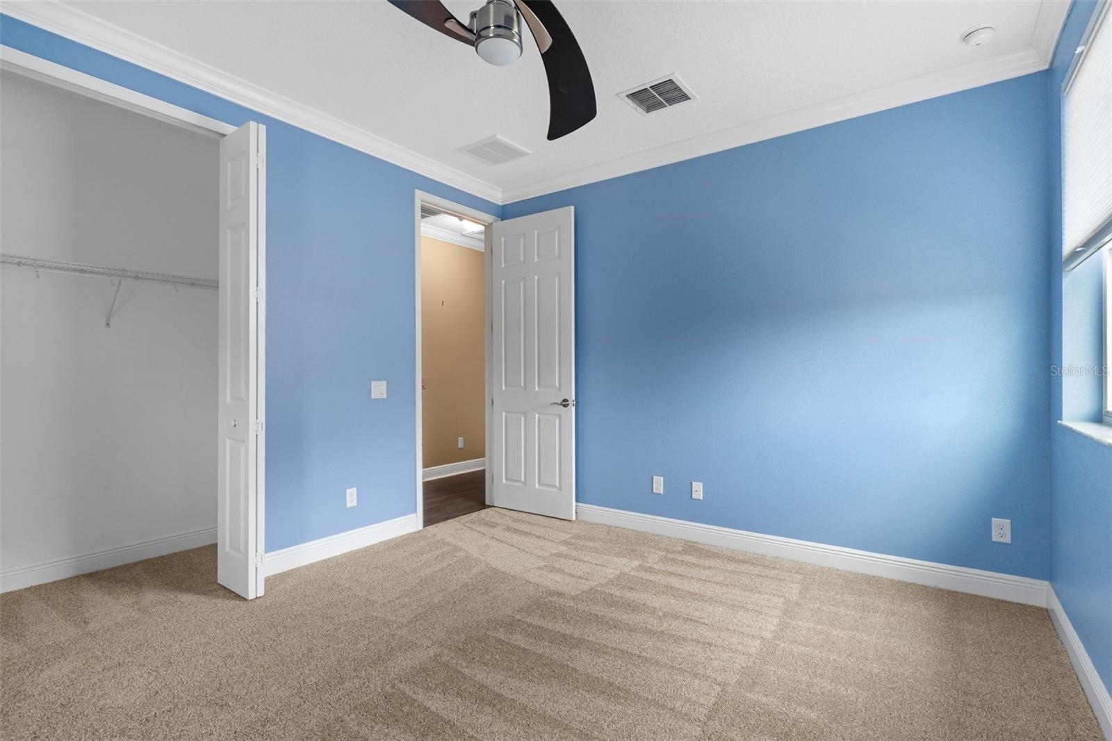10558 CORY LAKE DR, TAMPA, FL, 33647
