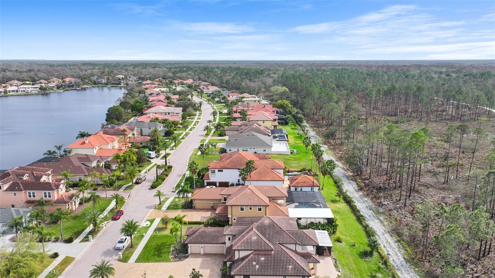 10558 CORY LAKE DR, TAMPA, FL, 33647