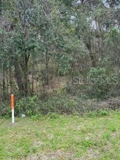 Unassigned STATE ROAD 24, ARCHER, FL, 32618