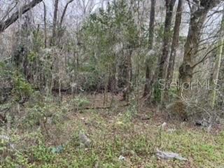 Unassigned STATE ROAD 24, ARCHER, FL, 32618