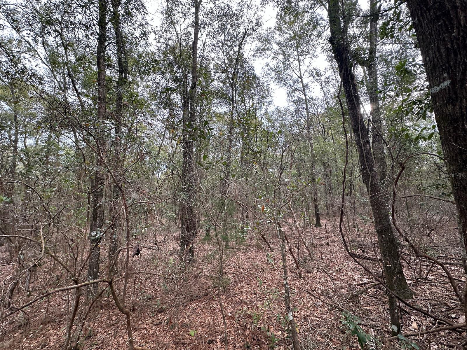 000 SW COUNTY ROAD 138, FORT WHITE, FL, 32038