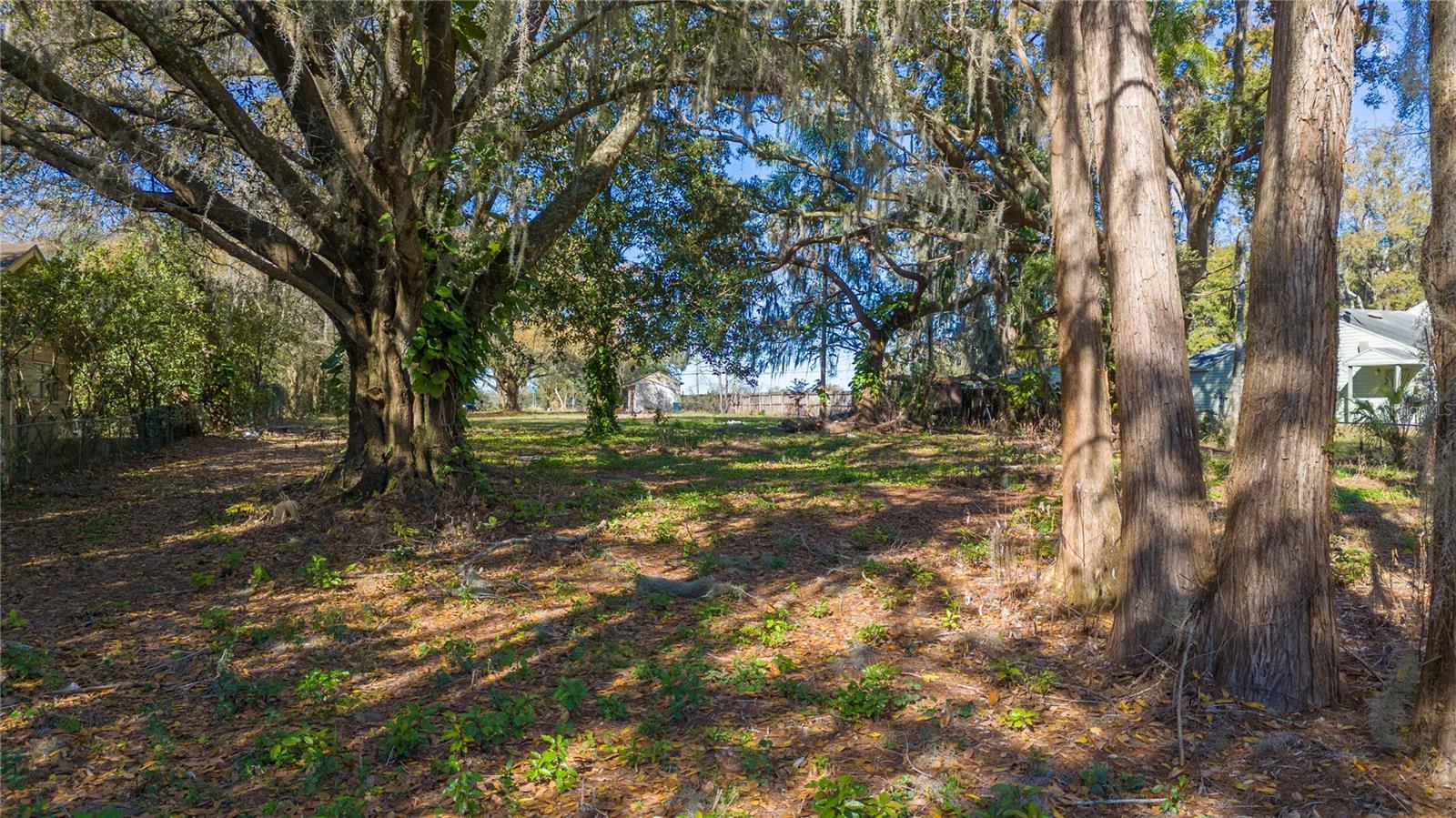 19137 GUNN HWY, ODESSA, FL, 33556