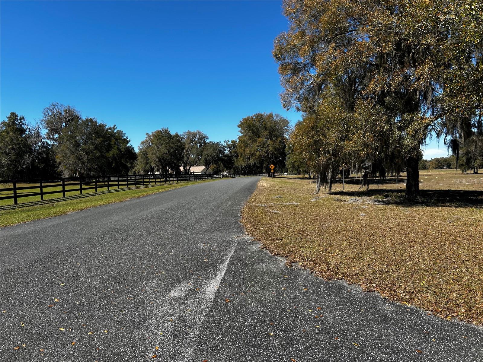 0000 NW 464B, MORRISTON, FL, 32668