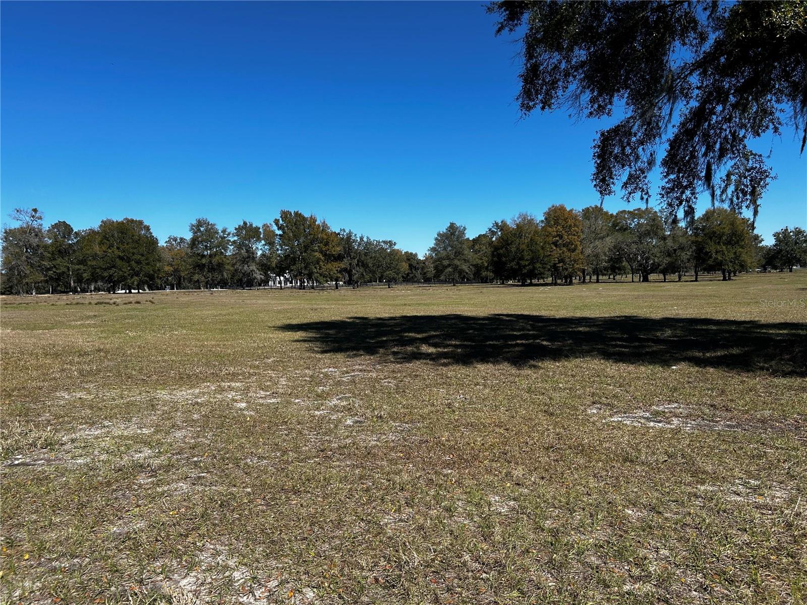 0000 NW 464B, MORRISTON, FL, 32668