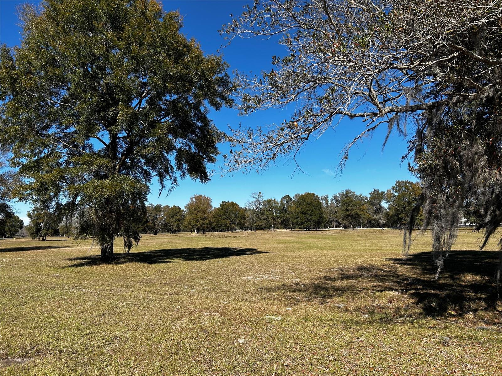 0000 NW 464B, MORRISTON, FL, 32668
