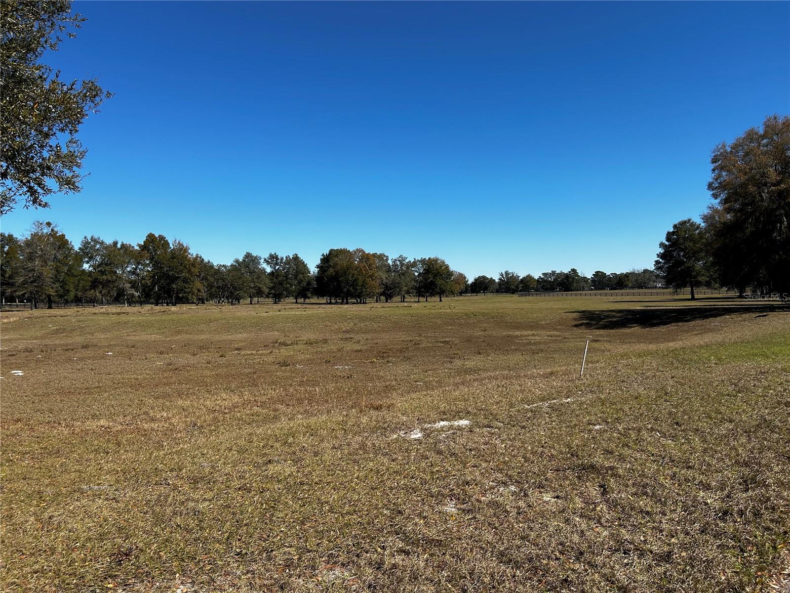 0000 NW 464B, MORRISTON, FL, 32668