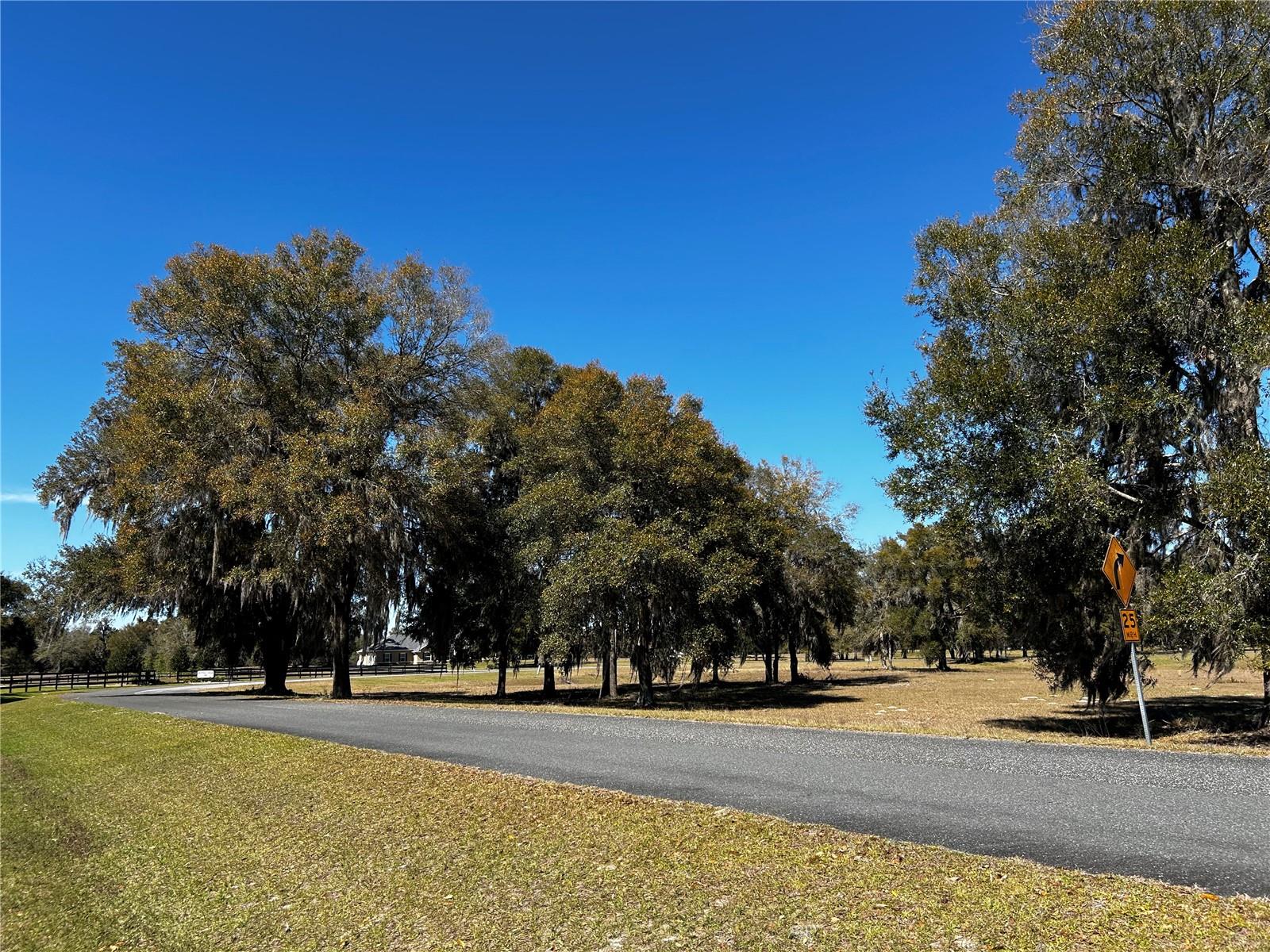 0000 NW 464B, MORRISTON, FL, 32668