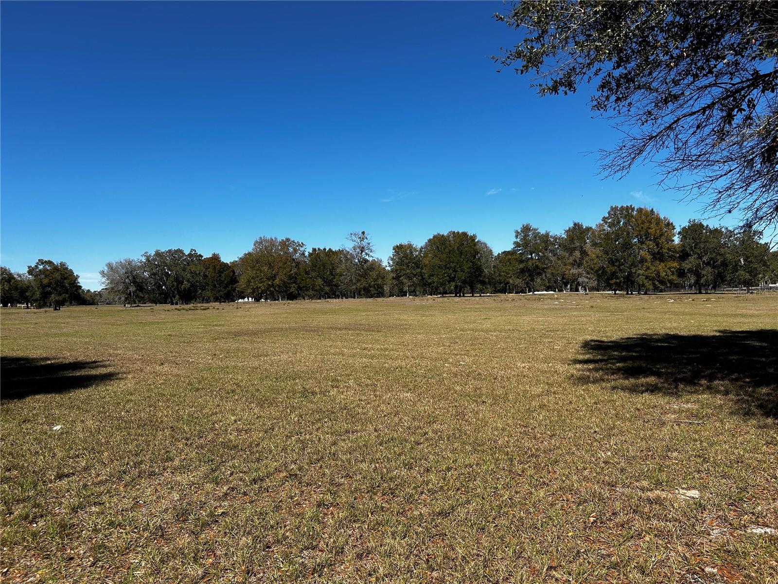0000 NW 464B, MORRISTON, FL, 32668