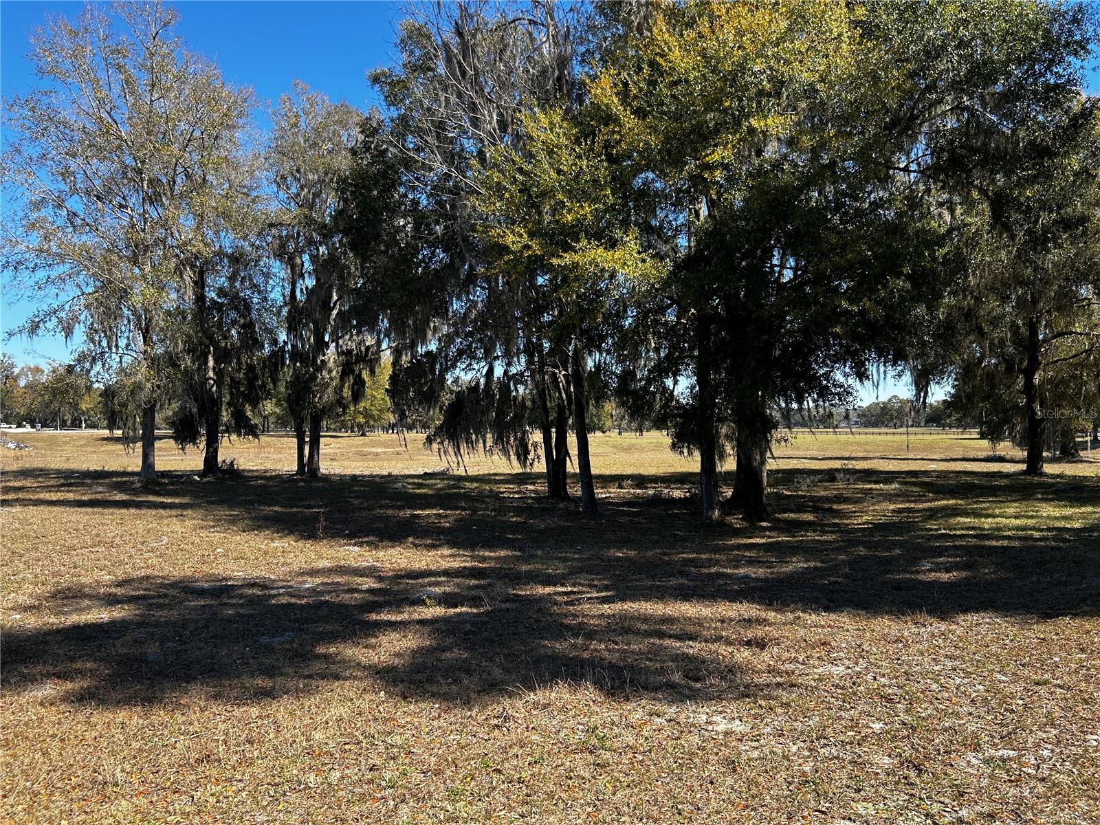 0000 NW 464B, MORRISTON, FL, 32668