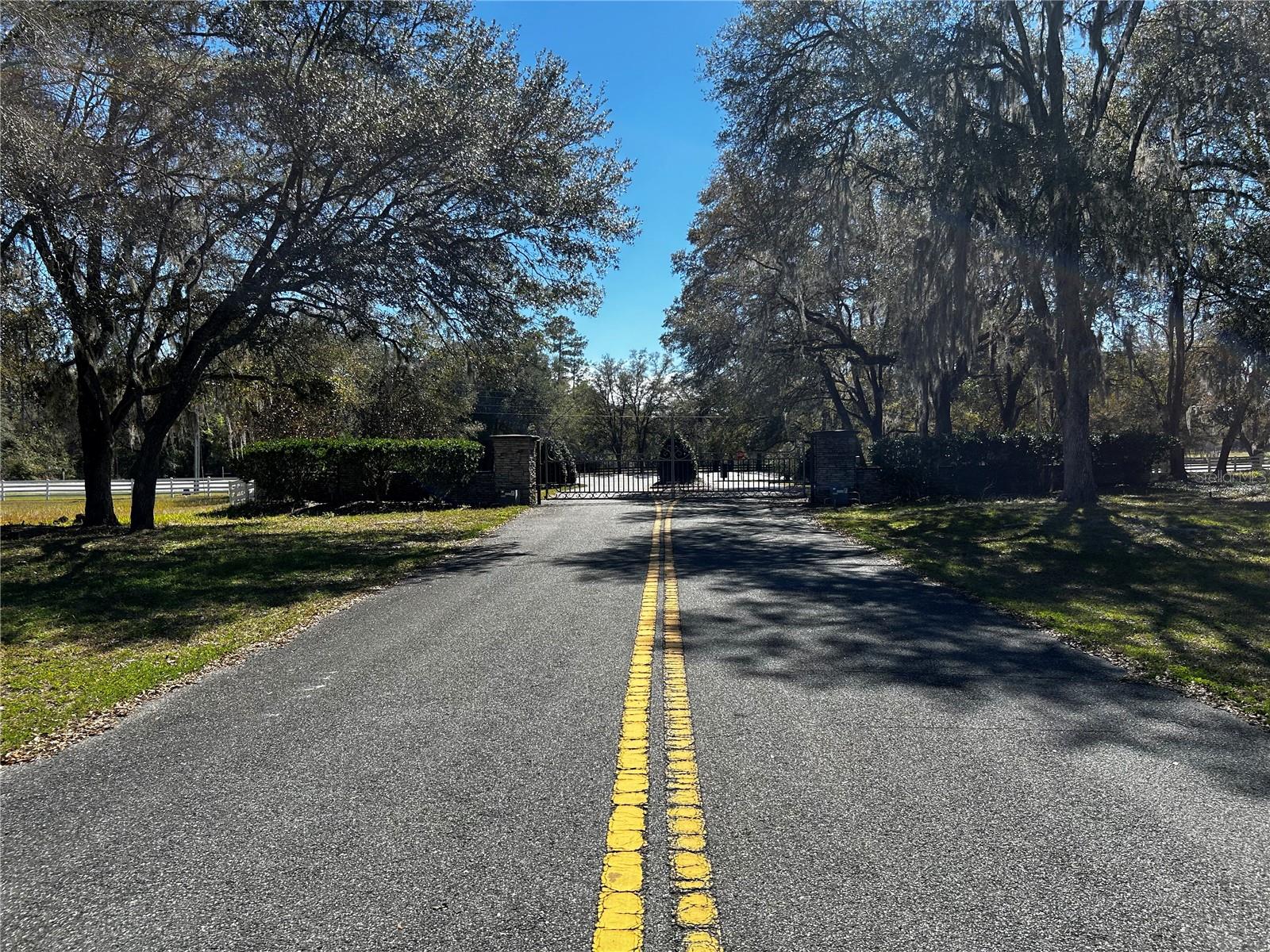 0000 NW 464B, MORRISTON, FL, 32668