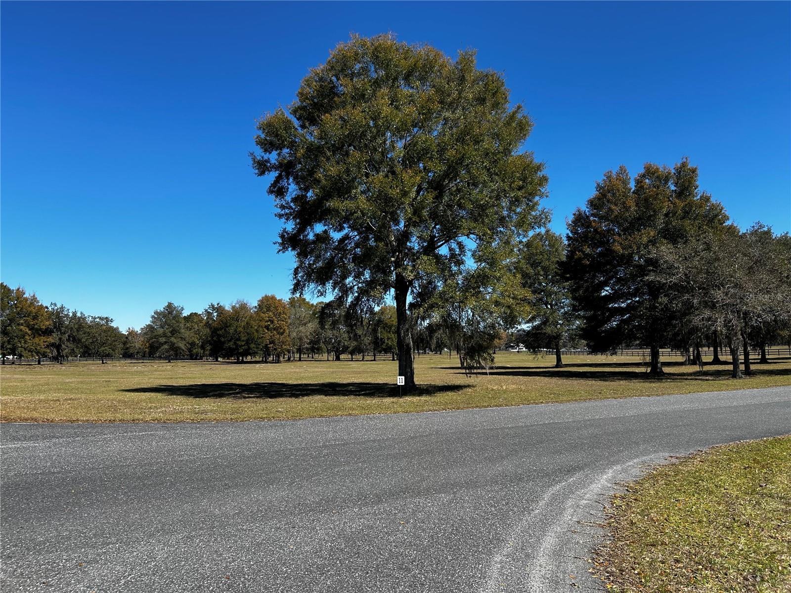 0000 NW 464B, MORRISTON, FL, 32668