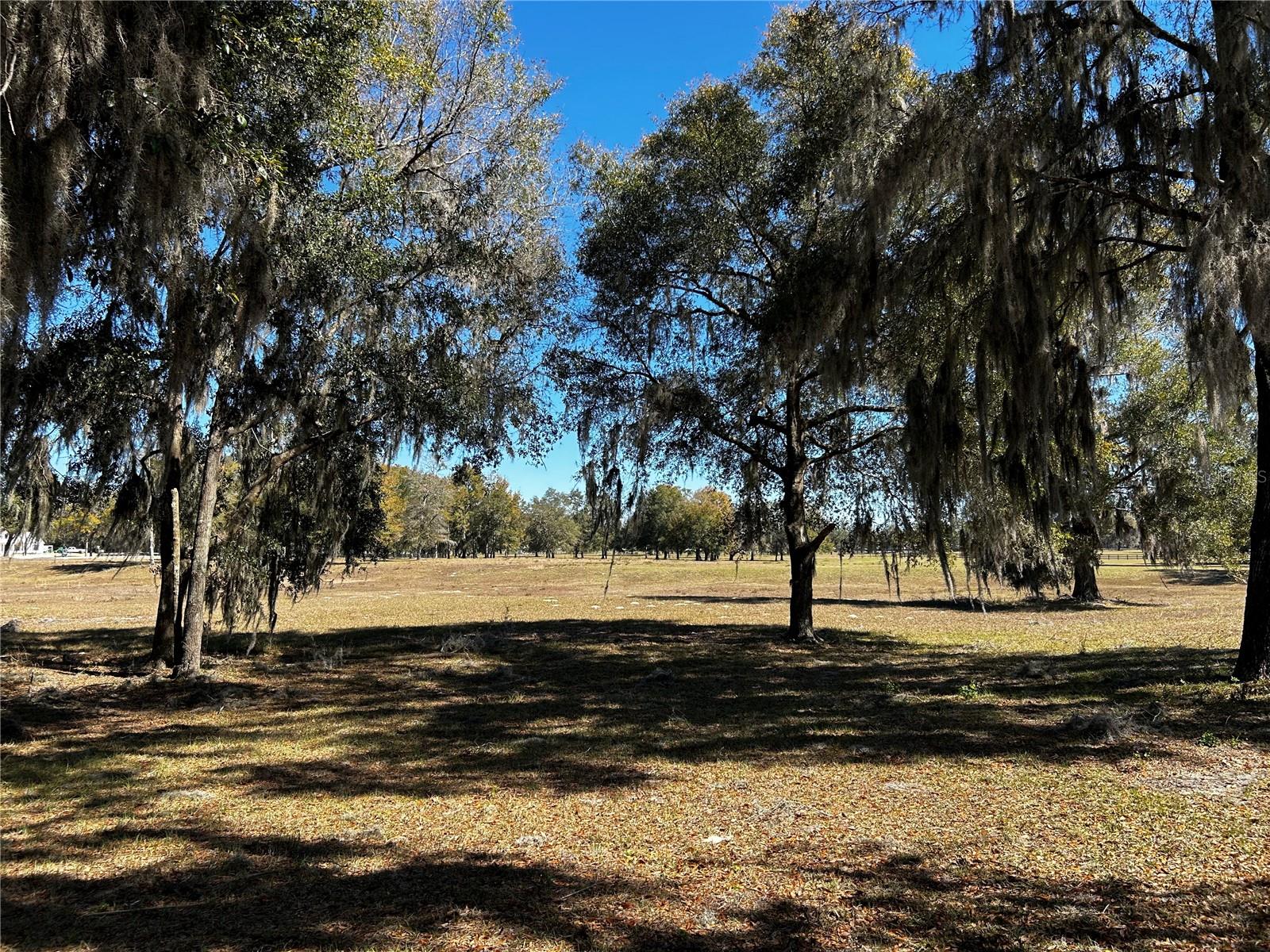 0000 NW 464B, MORRISTON, FL, 32668