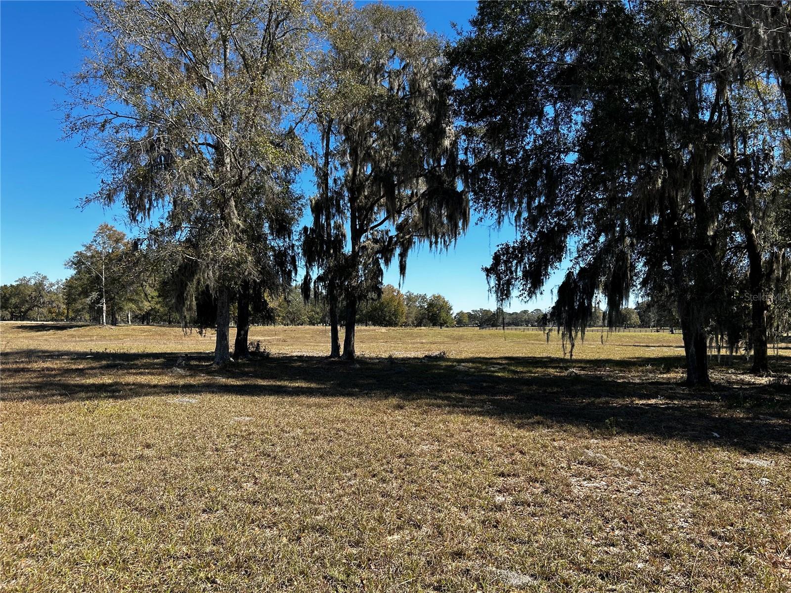 0000 NW 464B, MORRISTON, FL, 32668