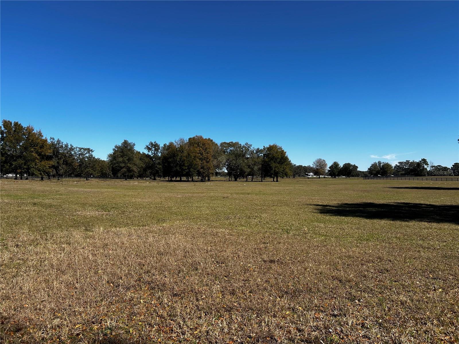 0000 NW 464B, MORRISTON, FL, 32668