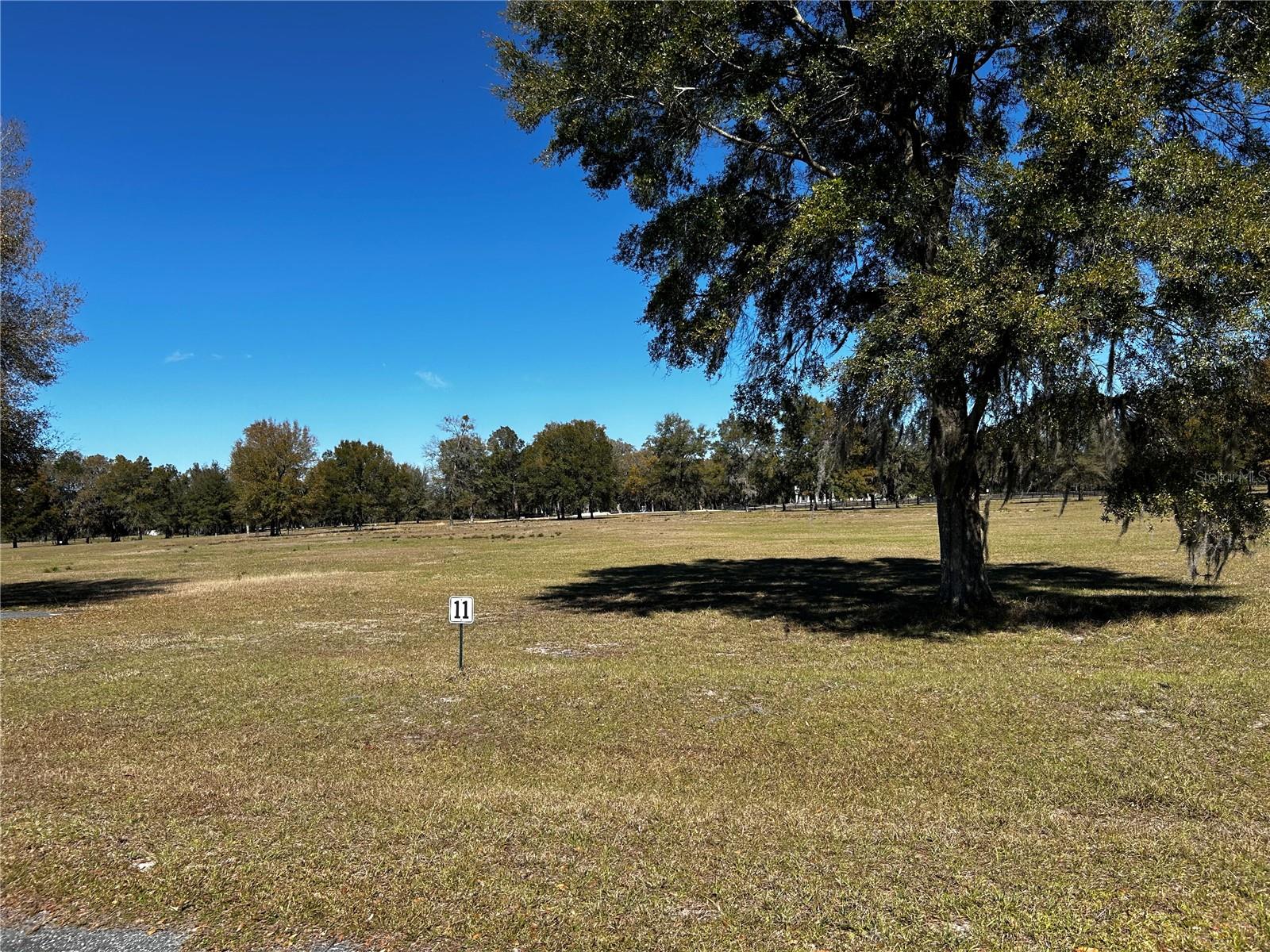 0000 NW 464B, MORRISTON, FL, 32668